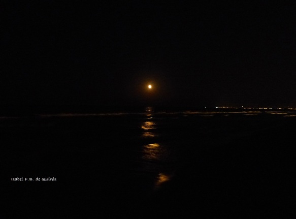 The full Moon rises over the horizont and illuminates the sea surface.